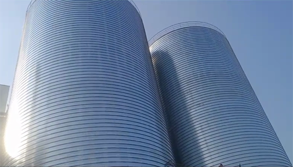 宁蒗2座混凝土高架卷板仓